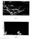Fig. 07 - Development of nanofiltration system with La/SnO—TiOnanoparticles