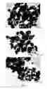 Fig. 08 - Development of nanofiltration system with La/SnO—TiOnanoparticles