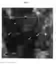 Fig. 04 - HEALING OF THIN GRAPHENIC-BASED MEMBRANES VIA CHARGED PARTICLE IRRADIATION
