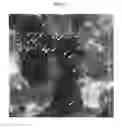 Fig. 06 - HEALING OF THIN GRAPHENIC-BASED MEMBRANES VIA CHARGED PARTICLE IRRADIATION