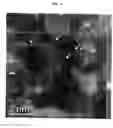 Fig. 07 - HEALING OF THIN GRAPHENIC-BASED MEMBRANES VIA CHARGED PARTICLE IRRADIATION