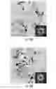 Fig. 16 - Compositions, systems and methods for producing nanoalloys and/or nanocomposites using tandem laser ablation synthesis in solution-galvanic replacement reaction