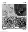 Fig. 19 - Compositions, systems and methods for producing nanoalloys and/or nanocomposites using tandem laser ablation synthesis in solution-galvanic replacement reaction