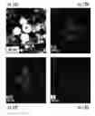 Fig. 20 - Compositions, systems and methods for producing nanoalloys and/or nanocomposites using tandem laser ablation synthesis in solution-galvanic replacement reaction