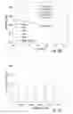 Fig. 23 - Compositions, systems and methods for producing nanoalloys and/or nanocomposites using tandem laser ablation synthesis in solution-galvanic replacement reaction