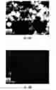 Fig. 29 - Compositions, systems and methods for producing nanoalloys and/or nanocomposites using tandem laser ablation synthesis in solution-galvanic replacement reaction