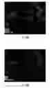 Fig. 30 - Compositions, systems and methods for producing nanoalloys and/or nanocomposites using tandem laser ablation synthesis in solution-galvanic replacement reaction