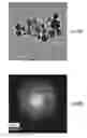 Fig. 31 - Compositions, systems and methods for producing nanoalloys and/or nanocomposites using tandem laser ablation synthesis in solution-galvanic replacement reaction