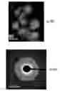 Fig. 37 - Compositions, systems and methods for producing nanoalloys and/or nanocomposites using tandem laser ablation synthesis in solution-galvanic replacement reaction