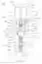 Fig. 02 - Injector