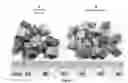 Fig. 02 - Comminution process to produce engineered wood particles of uniform size and shape from cross-grain oriented wood chips