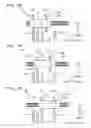 Fig. 06 - Ink-jet printer