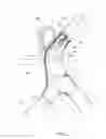 Fig. 22 - Child stroller apparatus