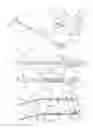 Fig. 02 - Cable tie