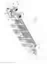 Fig. 02 - Portable drive-over conveyor system usable for unloading belly dump trucks with multiple discharges and for simultaneously unloading more than one truck