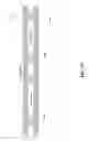 Fig. 28 - Methods for CMOS-MEMS integrated devices with multiple sealed cavities maintained at various pressures
