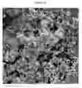 Fig. 04 - Soil improving compositions and methods of using