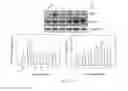 Fig. 48 - Bicyclic compound and pharmaceutical composition thereof for treating stroke and use thereof