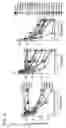Fig. 08 - SMALL MOLECULE INHIBITORS OF HIV-1 ENTRY AND METHODS OF USE THEREOF