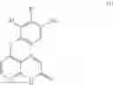 Fig. 22 - Process for the preparation of 8-(4-aminophenoxy)-4H-pyrido[2,3-b]pyrazin-3-one derivatives