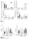 Fig. 02 - NEW IMMUNOSTIMULATORY COMPOUNDS