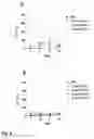 Fig. 04 - NEW IMMUNOSTIMULATORY COMPOUNDS