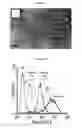 Fig. 02 - Optimized in vivo delivery system with endosomolytic agents for nucleic acid conjugates