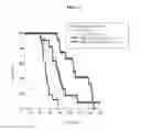 Fig. 06 - Optimized in vivo delivery system with endosomolytic agents for nucleic acid conjugates