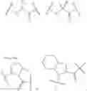 Fig. 35 - Peptide derivatives and uses thereof