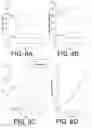 Fig. 09 - Targeted mutagenesis in 