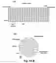 Fig. 02 - CELL-SUPPORT MATRIX HAVING NARROWLY DEFINED UNIFORMLY VERTICALLY AND NON-RANDOMLY ORGANIZED POROSITY AND PORE DENSITY AND A METHOD FOR PREPARATION THEREOF