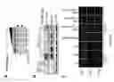 Fig. 15 - Genetic correction of mutated genes