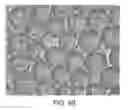 Fig. 09 - SYSTEMS AND METHODS FOR AMPLIFICATION AND PHAGE DISPLAY