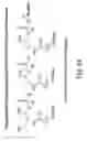 Fig. 49 - RNA interference mediated inhibition of gene expression using chemically modified short interfering nucleic acid (siNA)