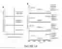 Fig. 19 - SELF-LABELING NUCLEIC ACIDS AND METHODS OF USE