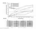 Fig. 07 - Interfacial effects enable droplet actuation, inhibition relief, and early sensing of polymerase chain reaction
