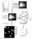 Fig. 02 - Systems and methods for localized surface plasmon resonance biosensing