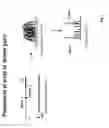 Fig. 02 - Nucleic acid sample enrichment for sequencing applications