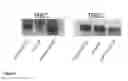 Fig. 03 - Analysis of T-cell monotypia