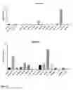 Fig. 04 - Analysis of T-cell monotypia