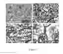 Fig. 08 - In situ tailoring of material properties in 3D printed electronics