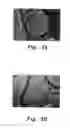 Fig. 06 - Method for producing noble metal nanocomposites