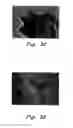 Fig. 07 - Method for producing noble metal nanocomposites