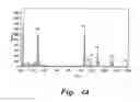 Fig. 08 - Method for producing noble metal nanocomposites