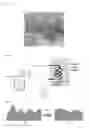 Fig. 04 - Formulation and method for inhibiting carbon-based deposits
