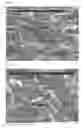 Fig. 08 - Formulation and method for inhibiting carbon-based deposits