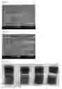 Fig. 09 - Formulation and method for inhibiting carbon-based deposits