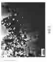 Fig. 06 - Polymer coated sulfonated polyester—silver nanoparticle composite filaments and methods of making the same