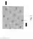 Fig. 08 - Process for the production of a dyed fabric using enzyme aggregates