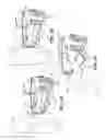 Fig. 20 - POWERED STEP ASSEMBLY